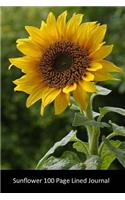 Sunflower: Blank 100 page journal