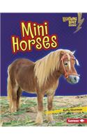 Mini Horses