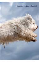 Havanese April Notebook Havanese Record, Log, Diary, Special Memories, To Do List, Academic Notepad, Scrapbook & More