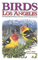 Birds of Los Angeles