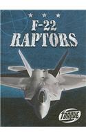 F-22 Raptors