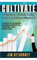 Cultivate Synergy, Structure, and Elevated Profits: A Guide to Aligning Business Direction, Strategy, and Execution(English)
