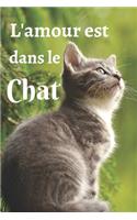 L'amour est dans le chat