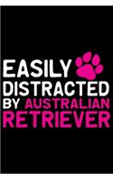 Easily Distracted by Australian Retriever