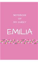 Notebook of my sweet Emilia