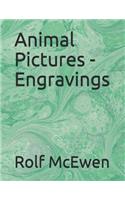 Animal Pictures - Engravings