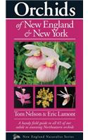 Orchids of New England & New York