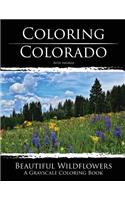 Coloring Colorado