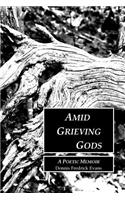 Amid Grieving Gods