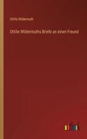 Ottilie Wildermuths Briefe an einen Freund