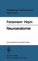 Neuroanatomie