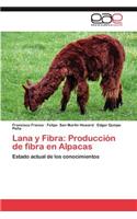 Lana y Fibra