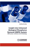 Insight into Enhanced Biological Phosphorus Removal (EBPR) System