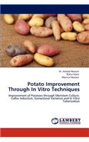 Potato Improvement Through In Vitro Techniques