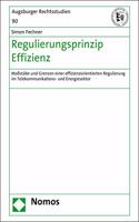 Regulierungsprinzip Effizienz: Massstabe Und Grenzen Einer Effizienzorientierten Regulierung Im Telekommunikations- Und Energiesektor(90 Augsburger Rechtsstudien)