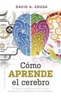 Como Aprende El Cerebro