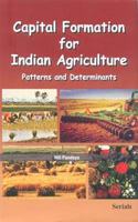 Capital Formation for Indian Agriculture: Patterns and Determinants