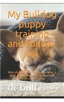 My Bulldog puppy training and follow-up
