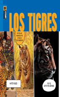 Los Tigres: (Maravillas)