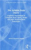 Invisible Brain Injury