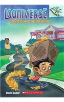Meltdown Madness: A Branches Book (Looniverse #2): Volume 2(02 Looniverse)