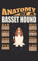 Anatomy Of A Basset Hound