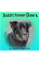 Buddy's Forever Home