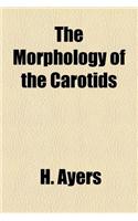 The Morphology of the Carotids