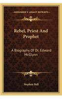 Rebel, Priest And Prophet: A Biography Of Dr. Edward McGlynn(English)