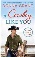 A Cowboy Like You