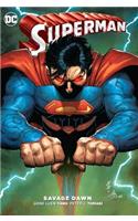 Superman: Savage Dawn