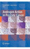 Androgen Action in Prostate Cancer