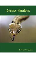 Grass Snakes