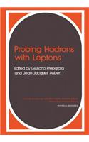 Probing Hadrons with Leptons