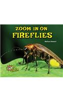 Zoom in on Fireflies
