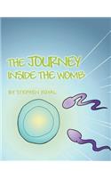 The Journey Inside the Womb