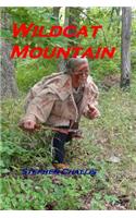 Wildcat Mountain: Life Death and Love in the year of blood 1782