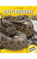 Rattlesnakes