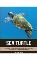 Sea Turtle