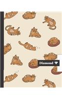 Cuaderno Escolar