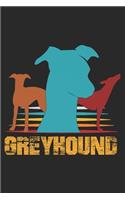 Greyhound