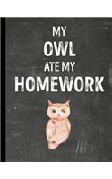 My Owl Ate My Homework