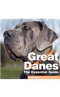 Great Danes