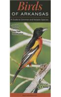 Birds of Arkansas