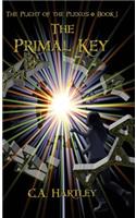 The Primal Key