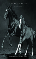 Horse, the Noble, the Browntrout Portrait Series 2023 Square