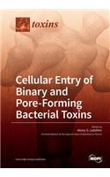 Cellular Entry of Binary and Pore-Forming Bacterial Toxins