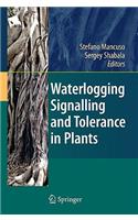 Waterlogging Signalling and Tolerance in Plants