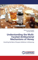 Understanding the Multi-Faceted Antibacterial Mechanisms of Honey