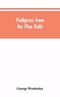 Pedigrees from the plea rolls